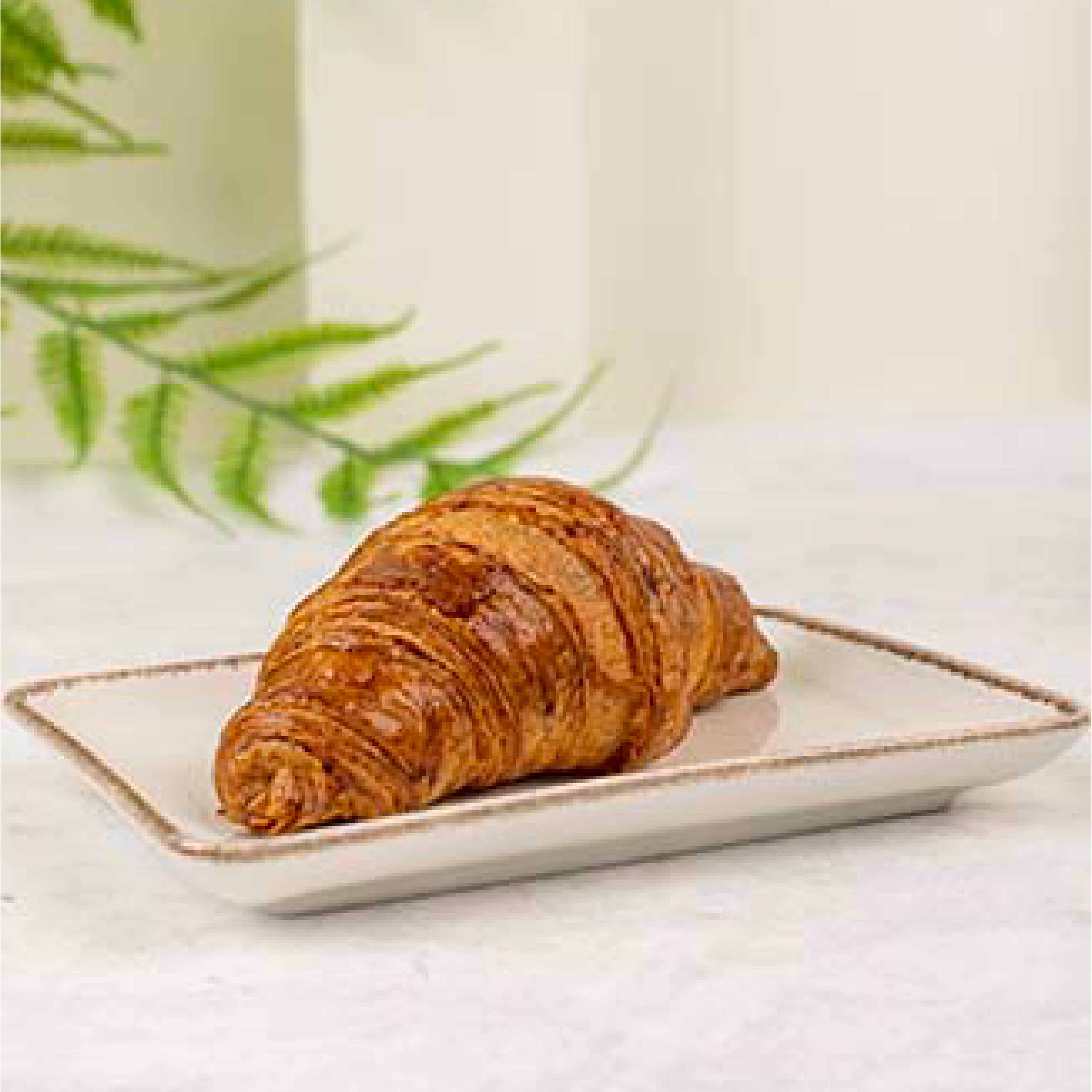 CHOCOLATE CROISSANT